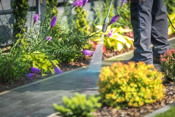 Palos Hills, IL Pressure Washing Services Company